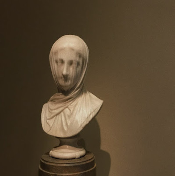 Meet your Posher, Cedar - Picture 1 of 1